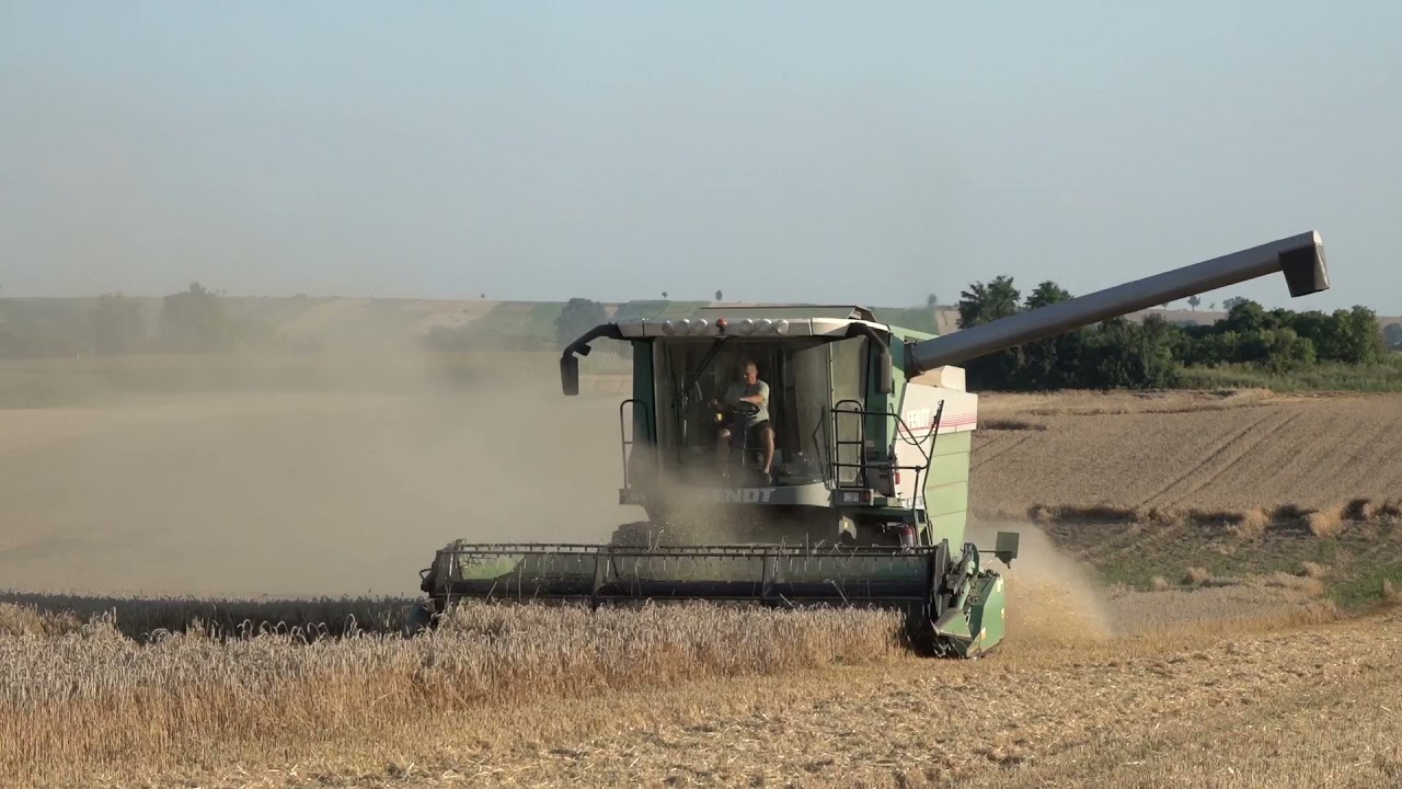 Żniwa 2021 z kombajnem marki Fendt 5220