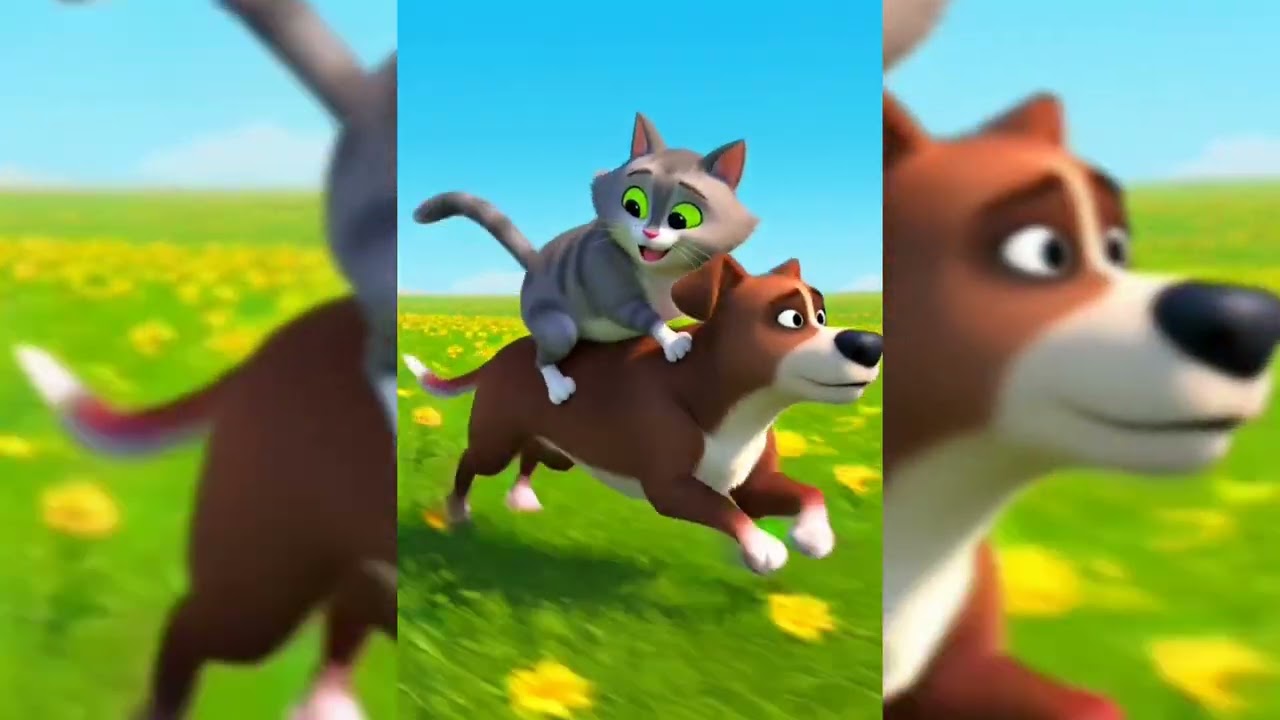 Dog and cat ||
