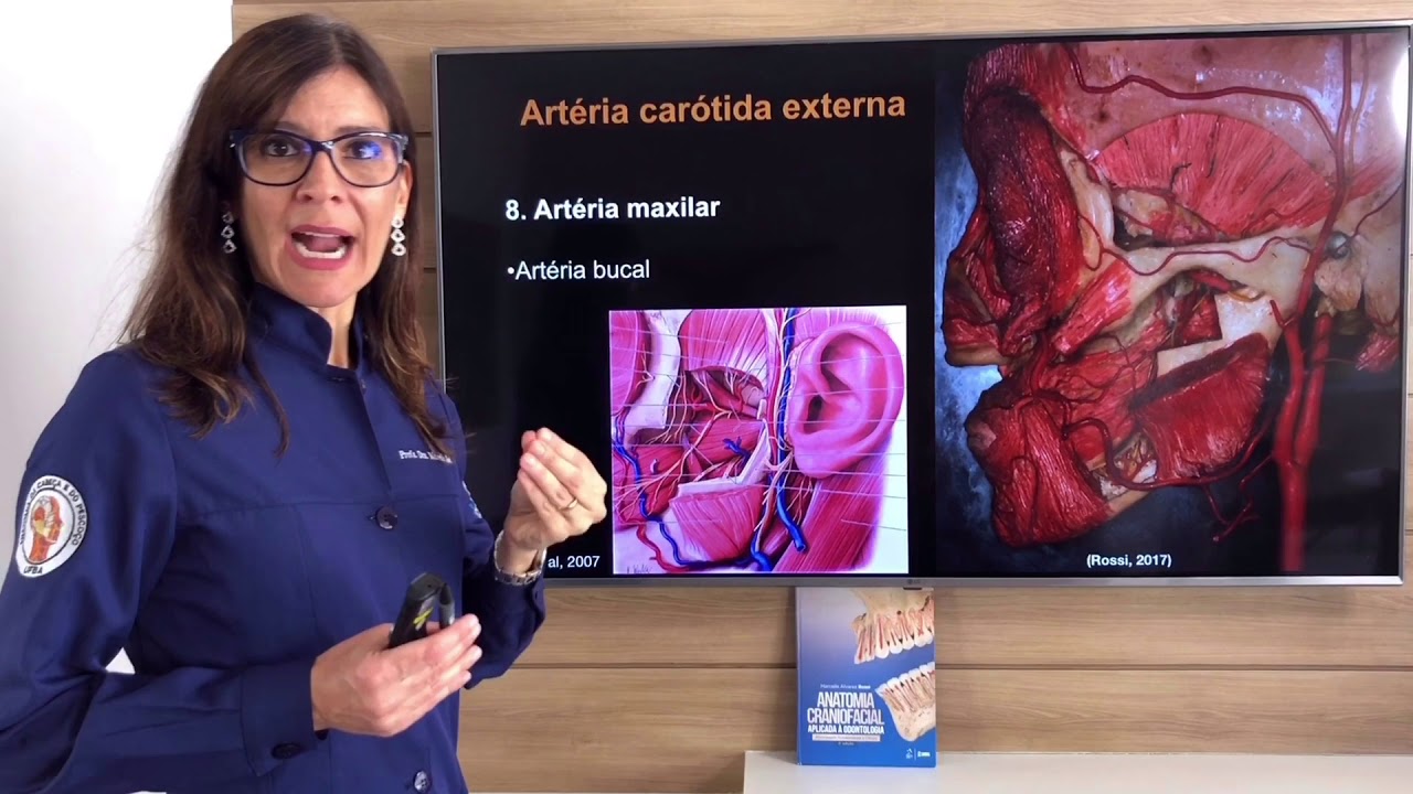 Vascularização Arterial da Cabeça e do Pescoço. PARTE  3