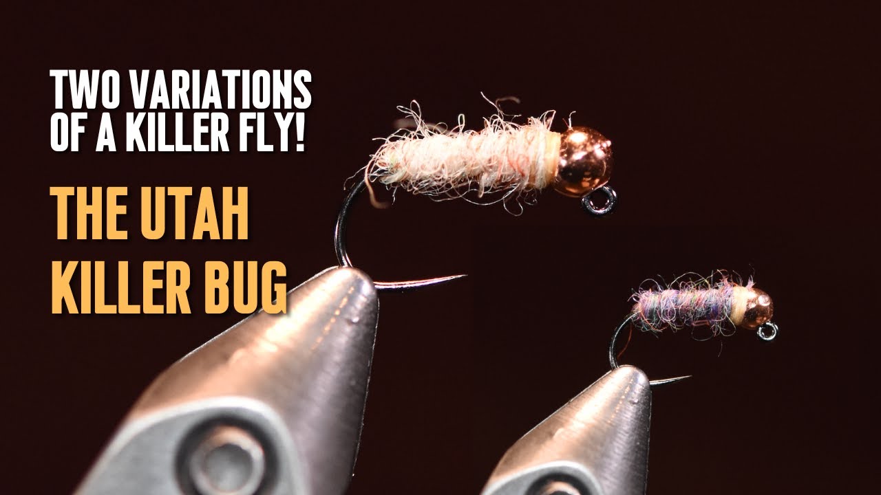Tying the Utah Killer Bug and Catching Wild Browns!