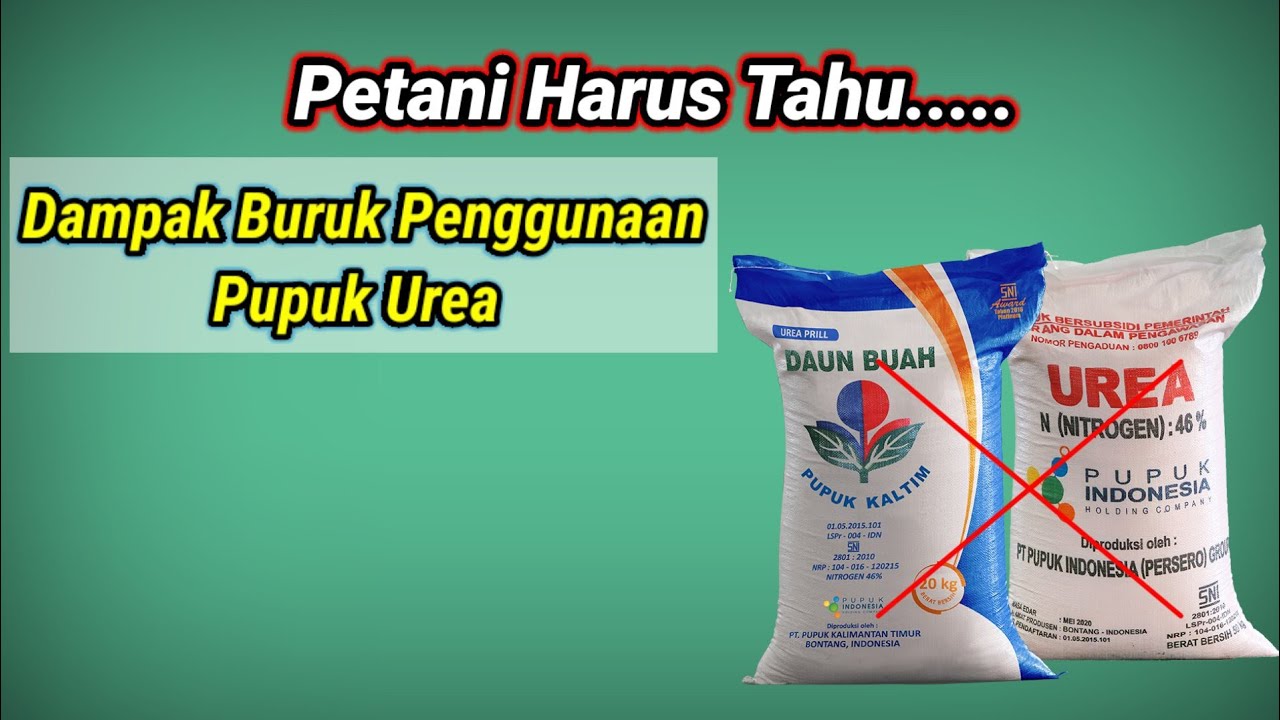 Inilah...5 Dampak Negatif Pemakaian Pupuk Urea secara Berlebihan Untuk Tanah Dan Tanaman,