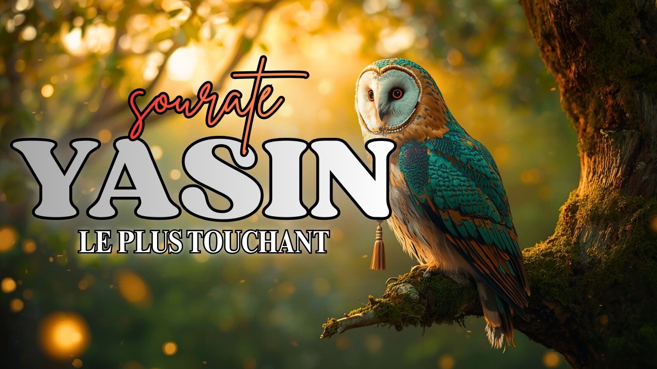 Commencez votre Samedi matin avec une souratepleine de guidance | de Baraka et la Réussite