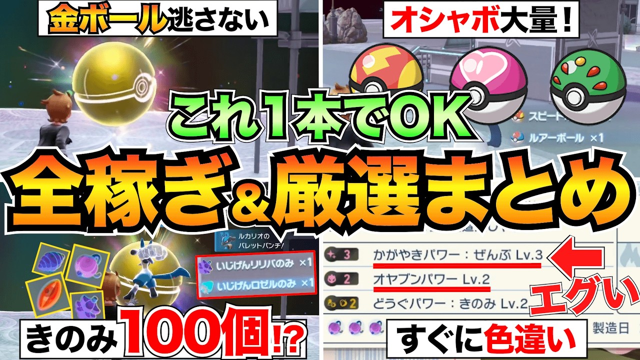 【ポケモンZA M次元ラッシュ】これが最高率！色違い厳選・異次元きのみ・オシャボ・きんのおうかん稼ぎのやり方をまとめて紹介！