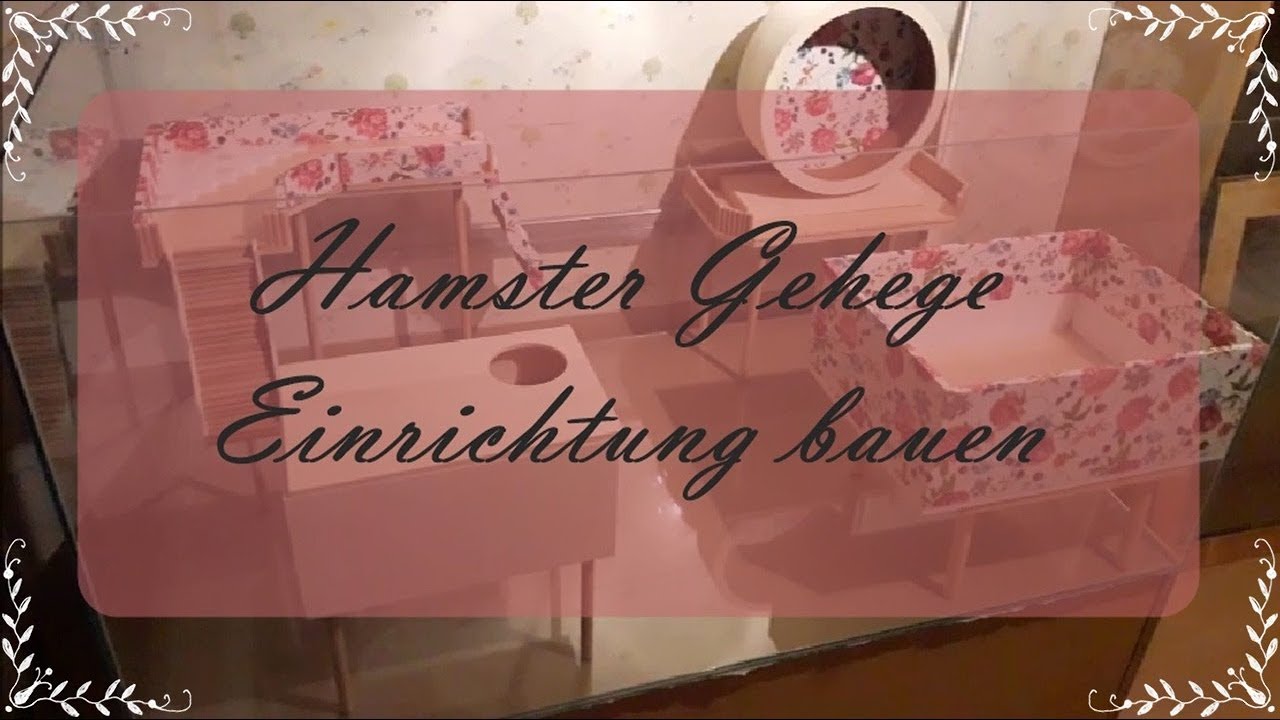 Hamster Gehege Einrichtung Bauen | Ebenen, Sandbad | FranzisPflegeKiste