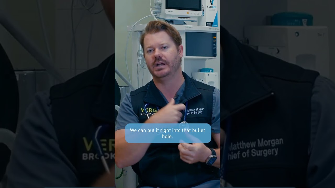 Learn how VETIGEL&reg; is changing field care for #K9 patients.  #veterinarian  #animalhealth