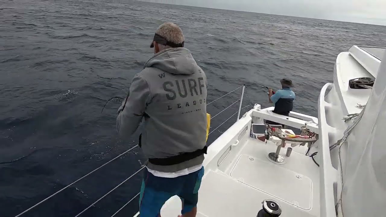 Catching Giant Yellowtail at Mount Vema!