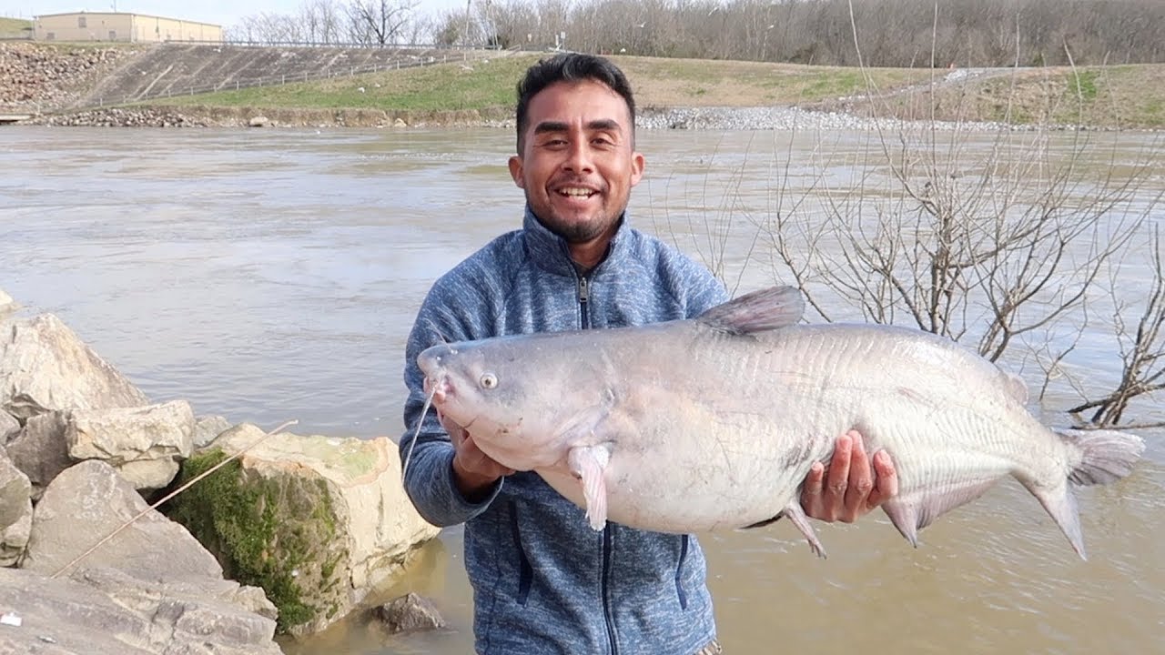 Pesca de Bagres Gigantes!!