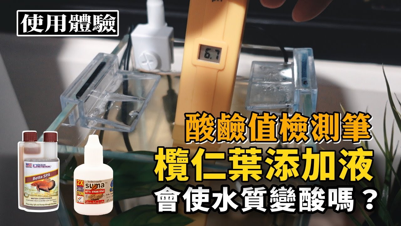試試這兩款欖仁葉添加液對於酸鹼值有沒有影響？｜鬥魚 酸鹼值檢測筆 pH值 營養大師 Ocean Nutrition 泰國 SUMA｜使用體驗｜Nick老師