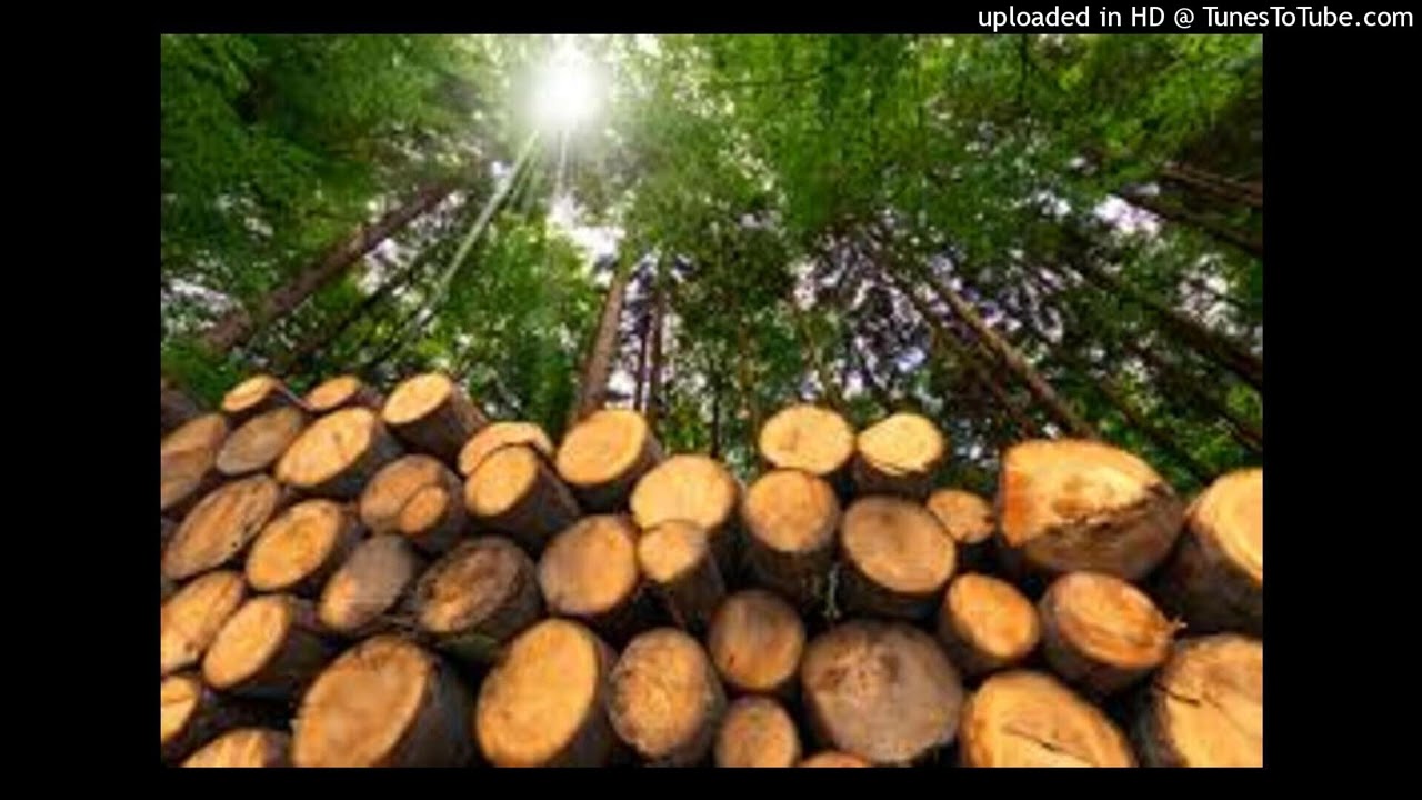 [FREE FOR PROFIT] TAKIZAVA x HXLX x DEKMA TRAP METAL/NECROTRAP TYPE BEAT - 