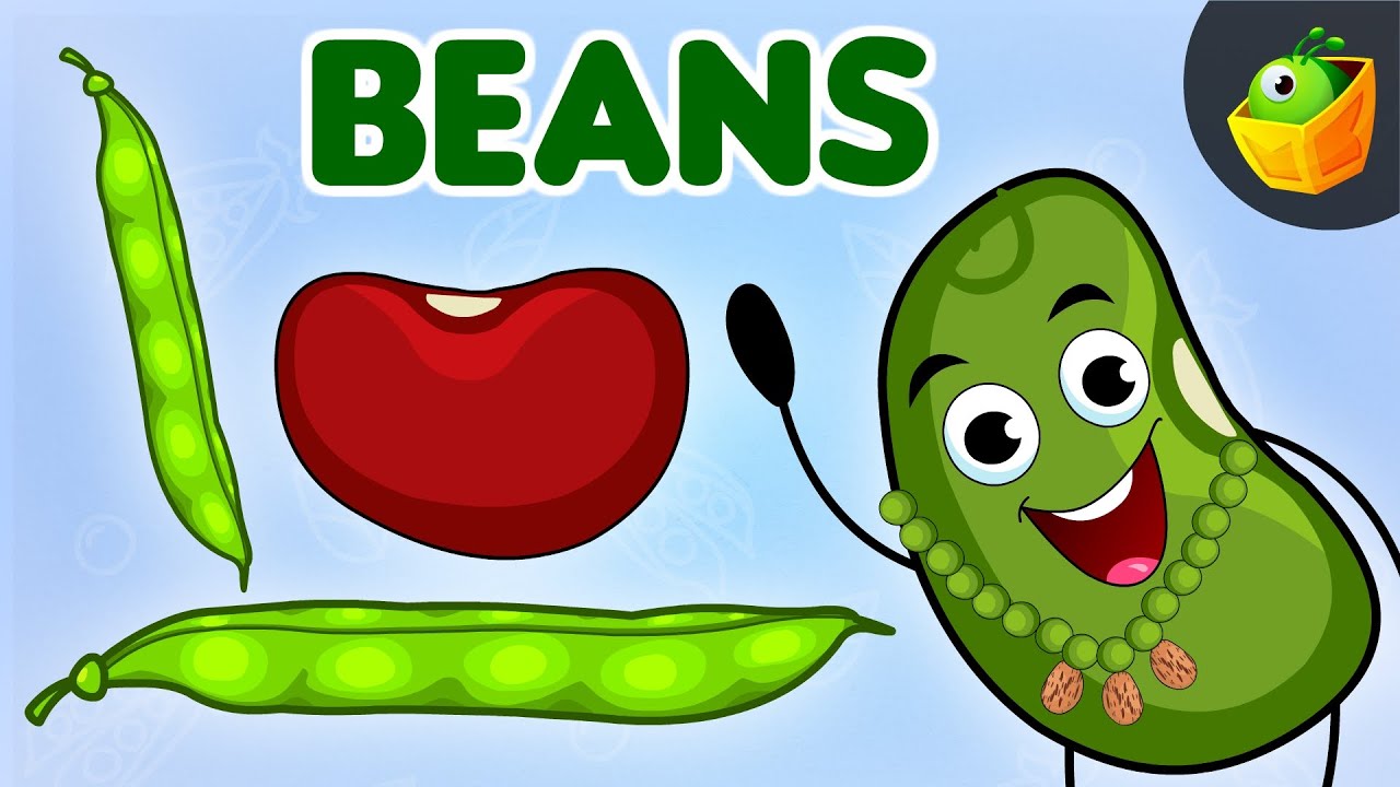 Bean Song | Vegetable Song | Green and Red