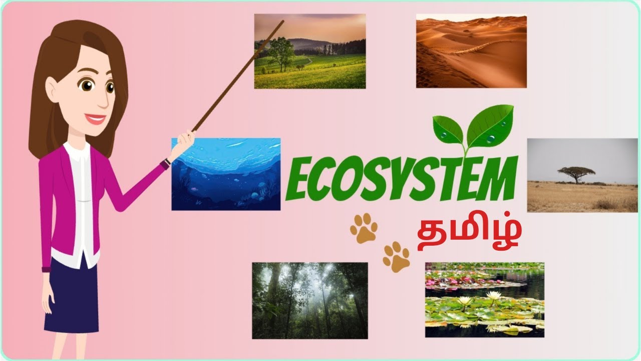 ECOSYSTEM for Kids in Tamil,  Kids Educational Video