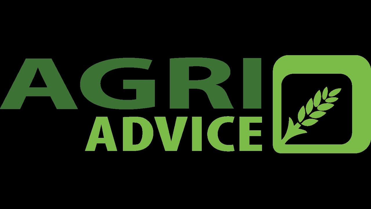 AgriWebNews marts 2026
