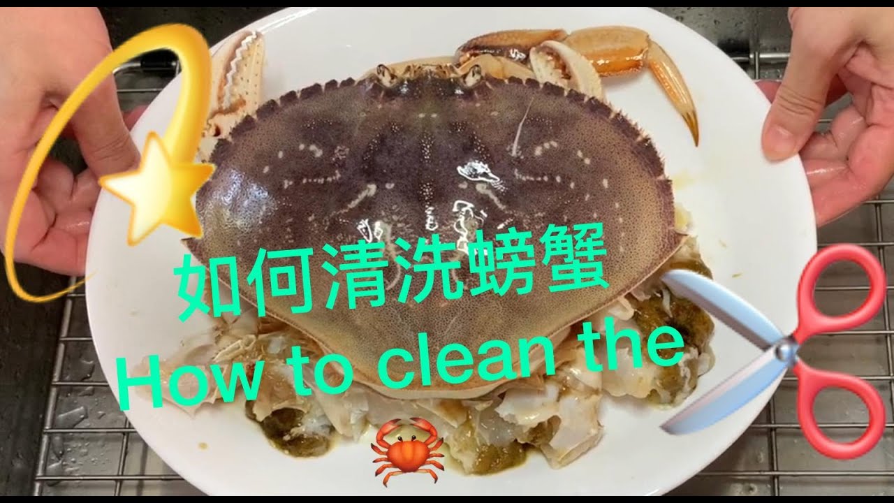 How to Clean the Crab 如何清洗螃蟹