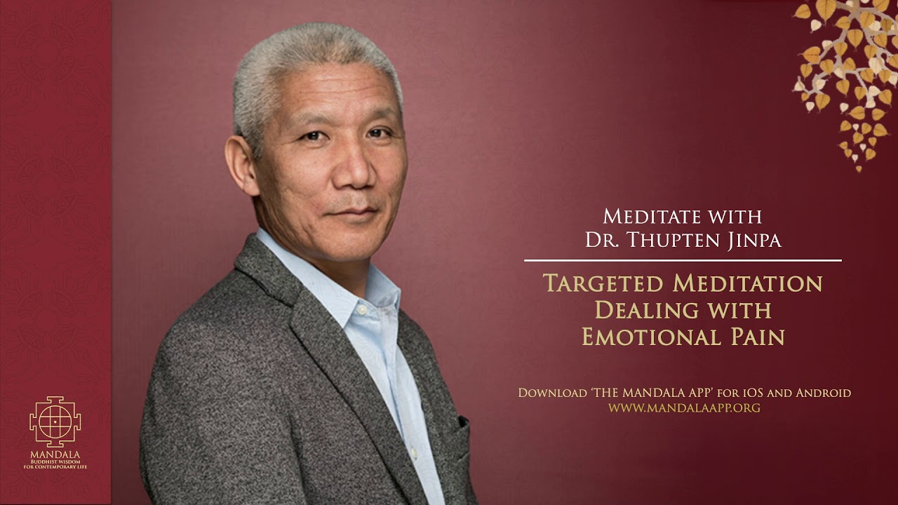 Targeted Meditation: Dealing with Emotional Pain - Thupten Jinpa on The Mandala App