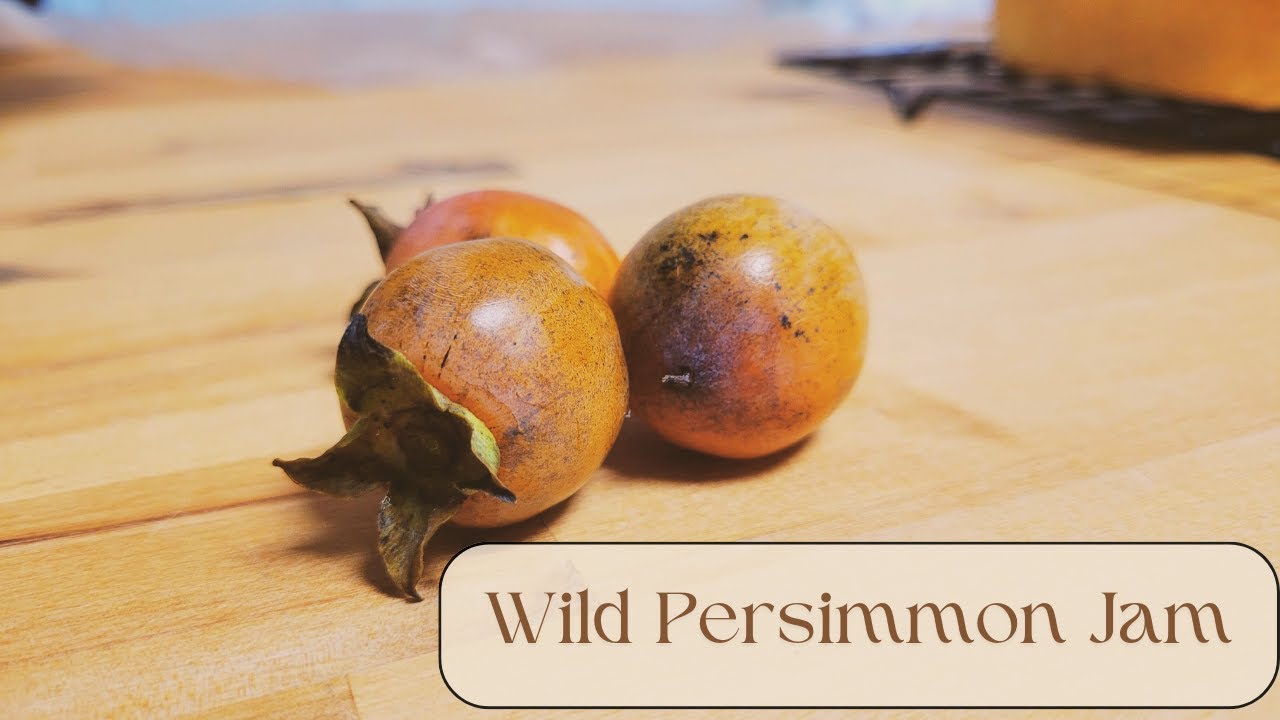 persimmon jam (more like persimmon butter) | like fall in a jar!