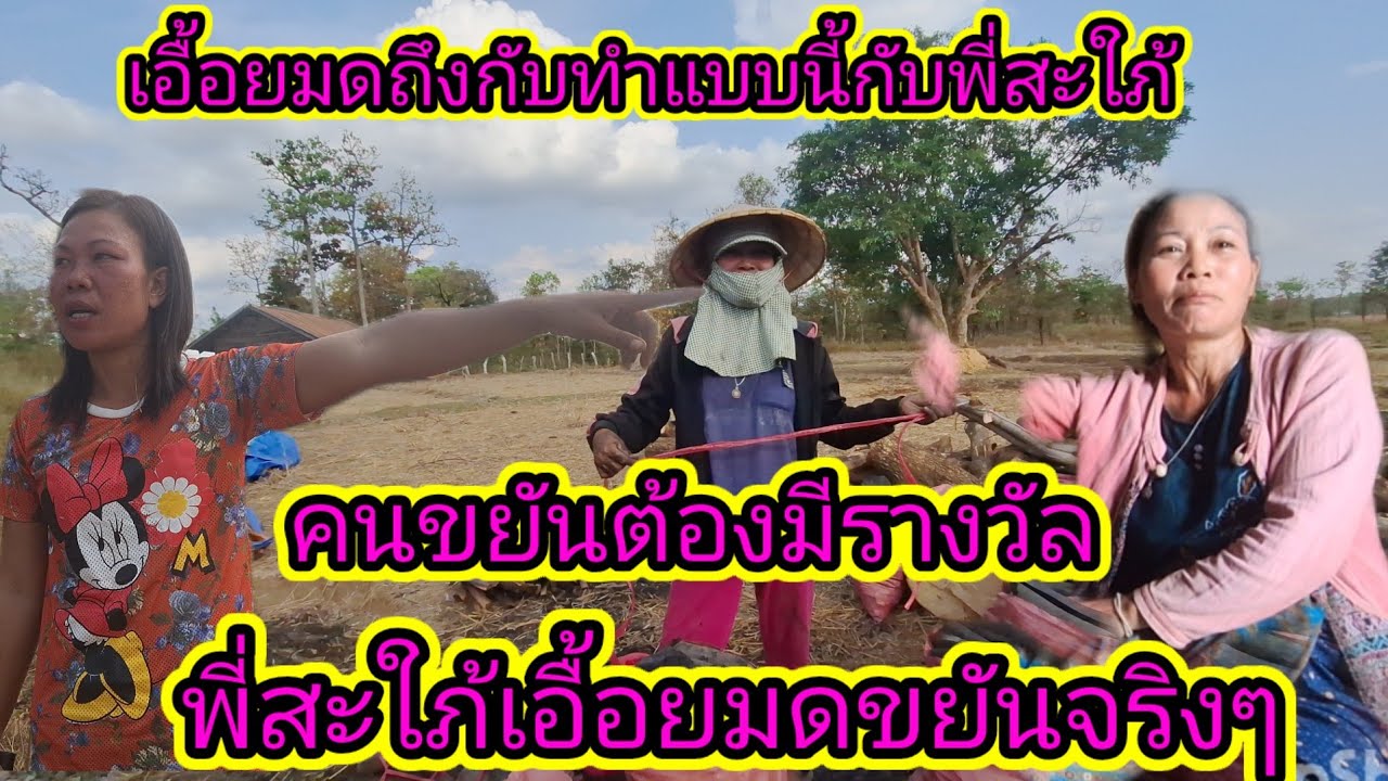 น้าสะใภ้เอื้อยมดทำไมขยันจริงๆ1 มีนาคม ค.ศ. 2026