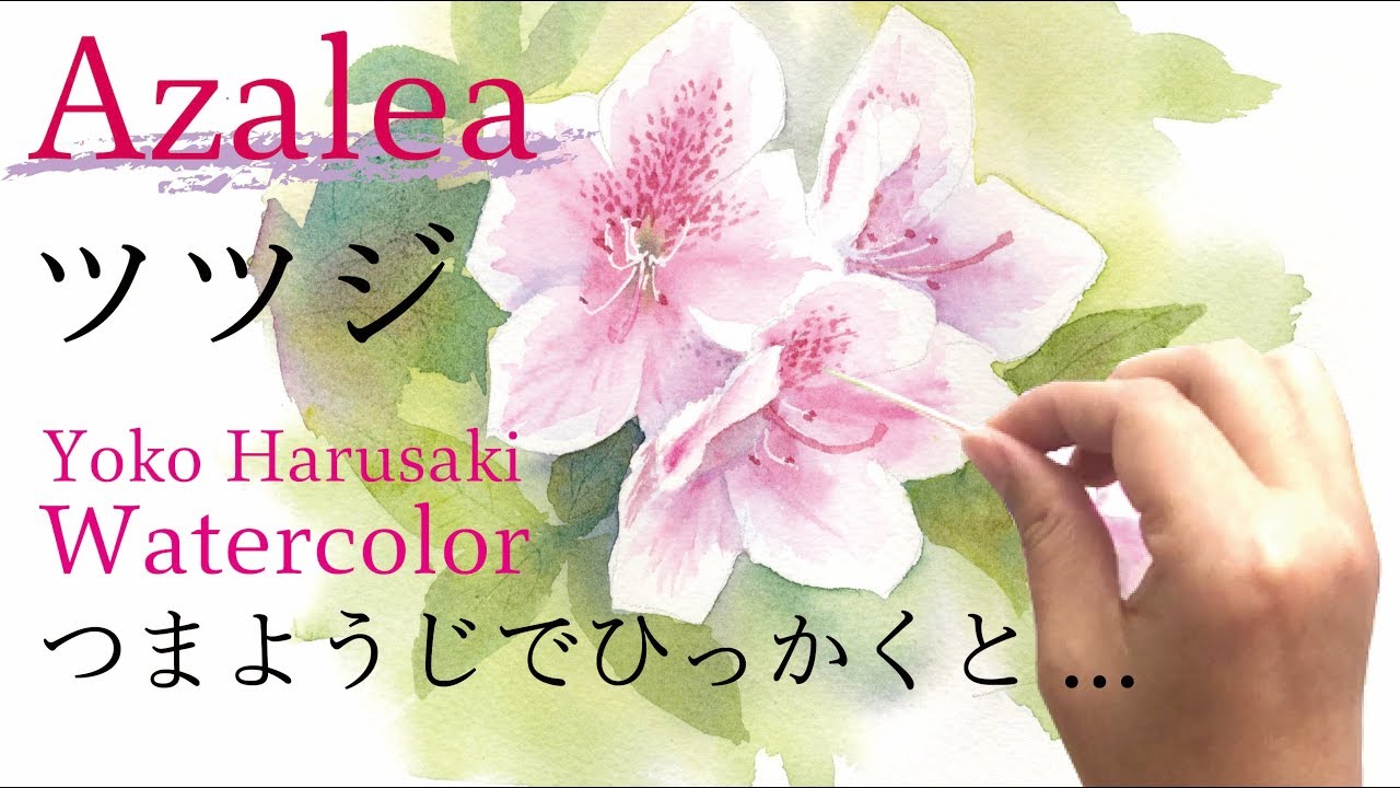 ３色で描く水彩画　Watercolor painting with three colors 【Azalea】 Yoko Harusaki ツツジの描き方 春崎陽子