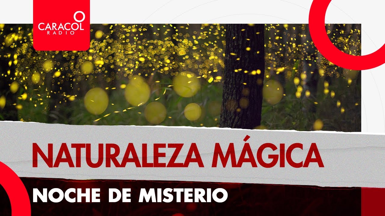 Naturaleza mágica