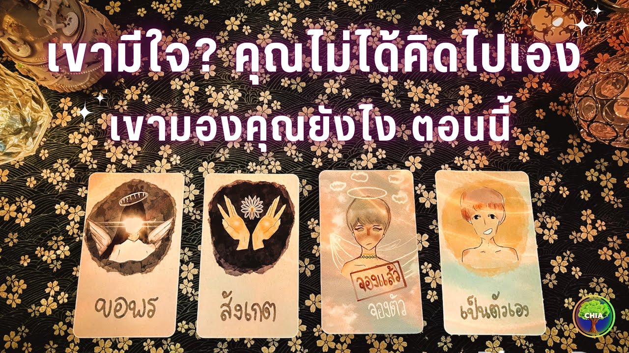 Pick a card เขามีใจหรือคุณคิดไปเอง เขามองคุณยังไงตอนนี้