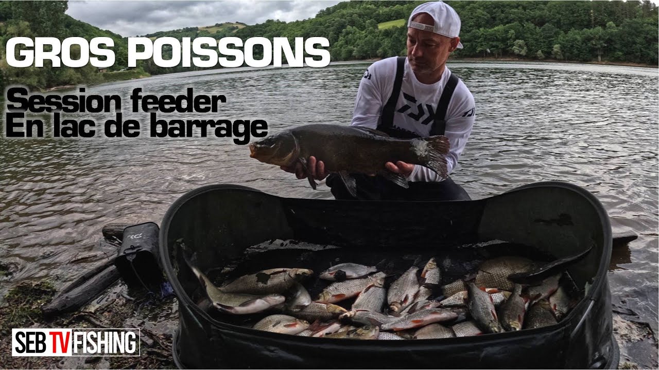 Ma tanche record est là I Pêche au feeder à Cabanac