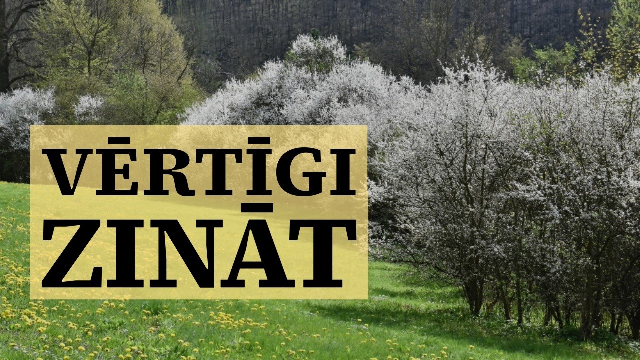 Vērtīgi zināt S9E9