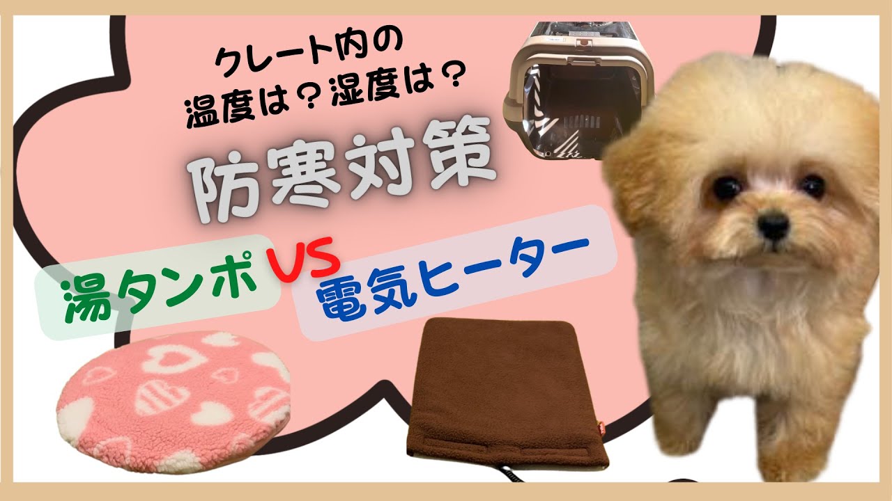 【犬の寒さ対策】湯たんぽVS電気ヒーター。クレート内に設置して、温かさと乾燥の程度を温度湿度計で計測しました。気になる子犬の防寒対策。湯たんぽはドギーマン、電気ヒーターはペティオ、クレートはリッチェル