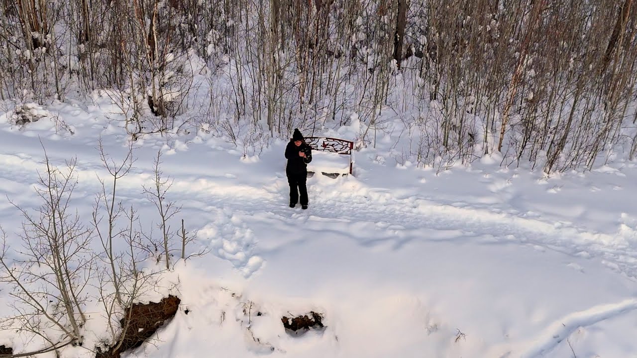 Thickwood Trails in January
