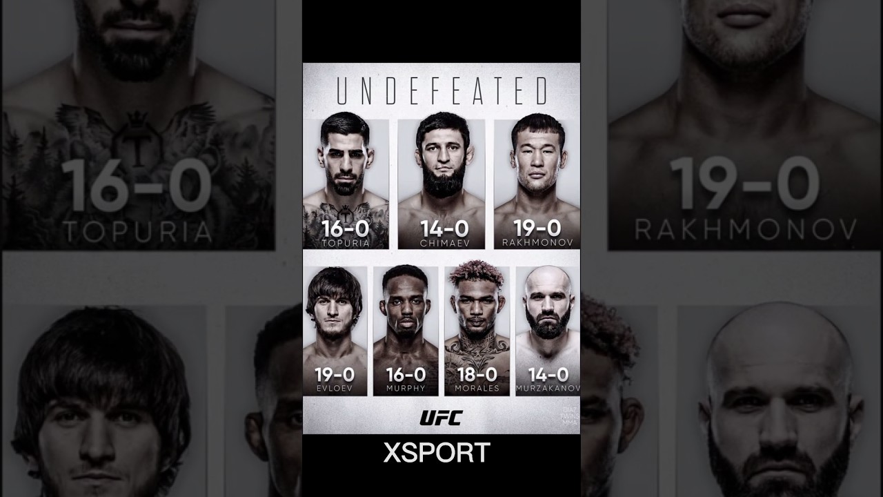Top 10 undefeated ufc champion now #ufc #undefeated #khamzatchimaev #topuria #rakhmonov #mma