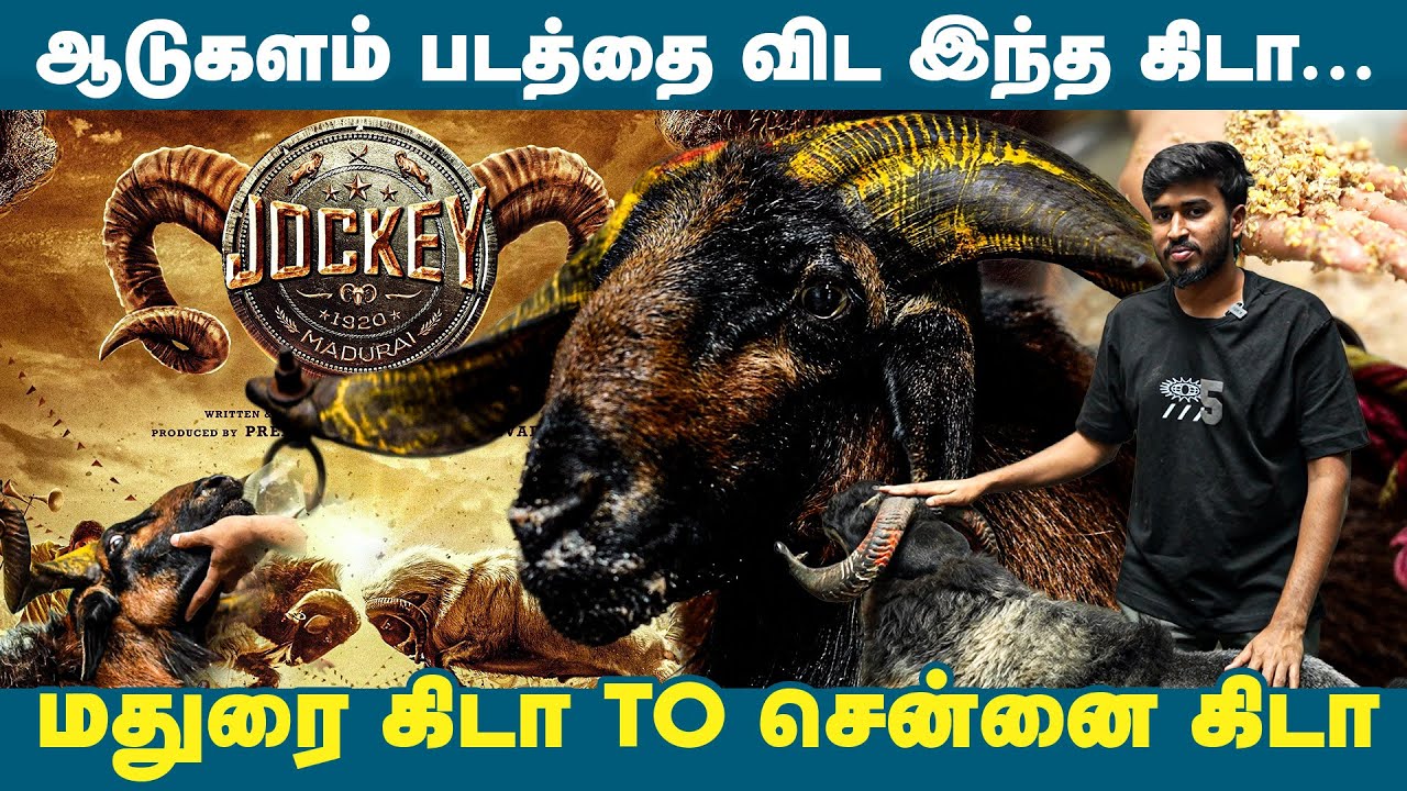 இந்த கிடா பாரம்பரியத்தை விற்ற கூடாது | Provoke Lifestyle