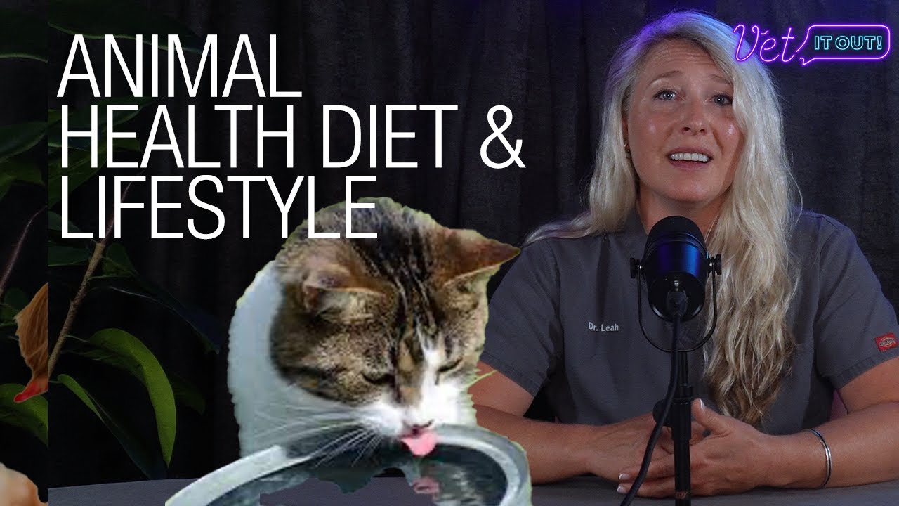 Is Your Pet Getting Enough Food and Water? - 1 of 5 Animal Care Basics
