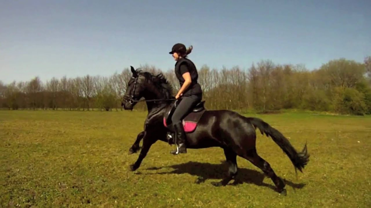 Paardrijden - Iris / Hessel - Emmen (10-04-2011) - GoPro Eekwal Paard Drenthe