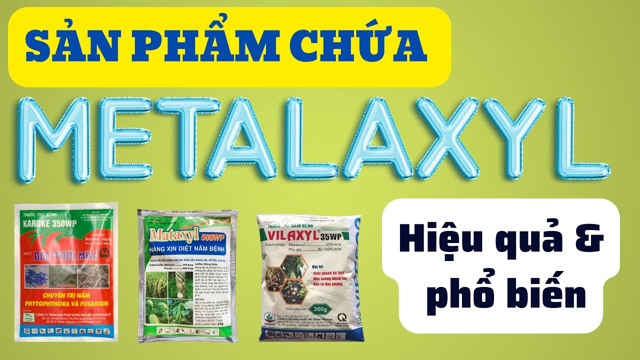 Sản phẩm có hoạt chất Metalaxyl hiệu quả và phổ biến | Hoạt chất Matalaxyl quản lý nấm phổ rộng