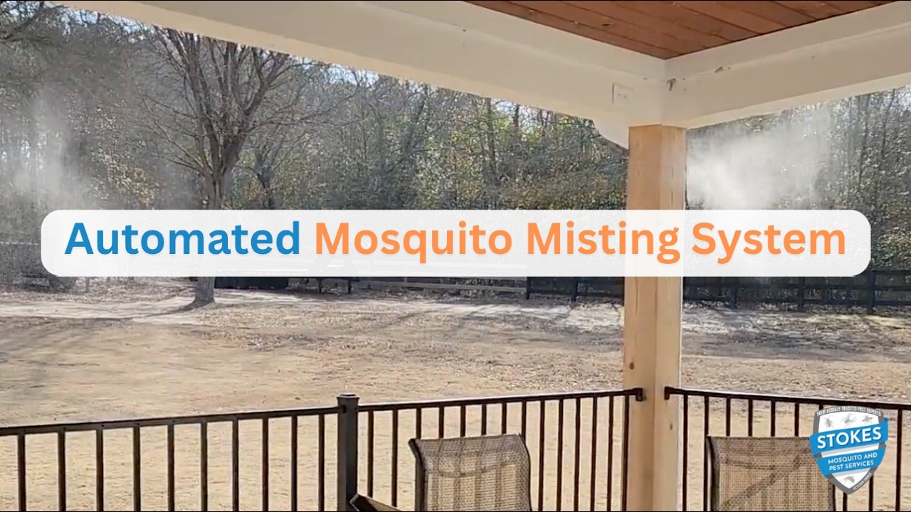The Best Form of Mosquito Control In Aiken, South Carolina!