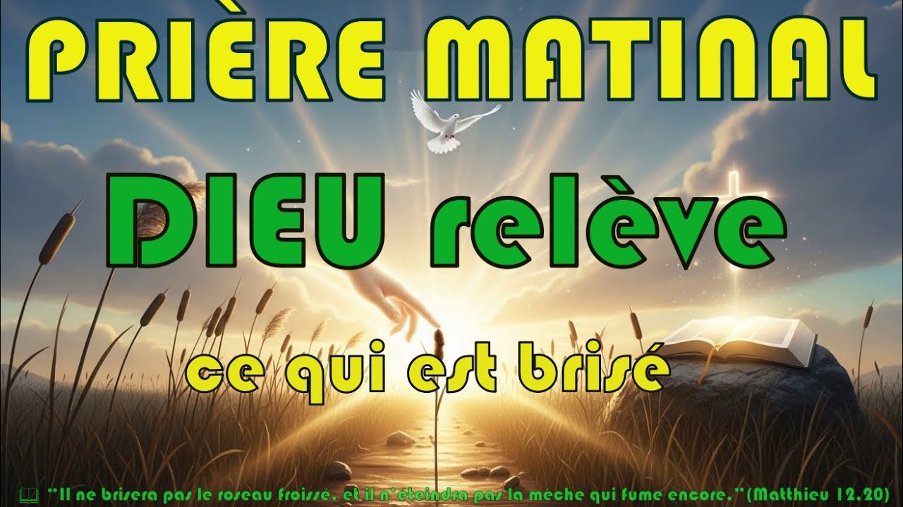 Prière matinale : Commence ta journée sous la douceur de Dieu | (Mt 12,14-21)