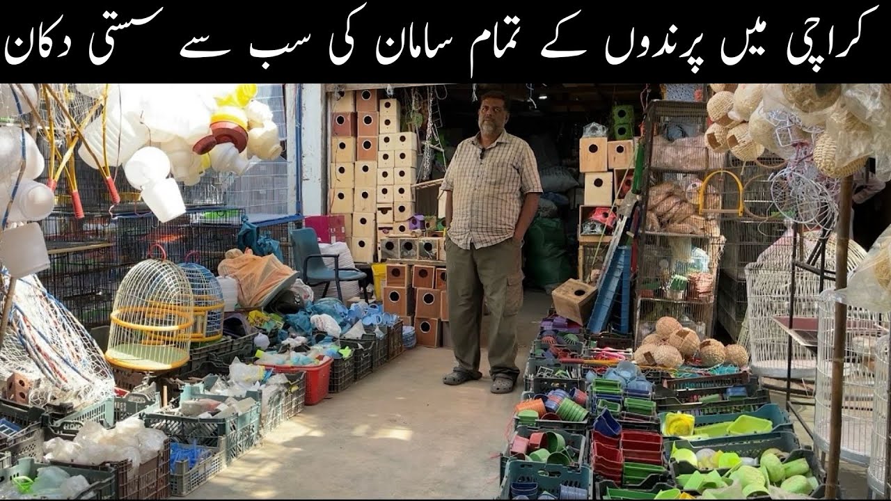 Birds Accessories Biggest Cheapest Shop in Lalukhet Birds Market Karachi Pakistan 😯🥰