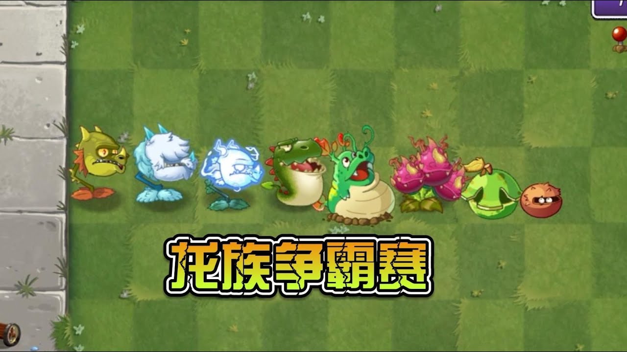 龙族争霸赛 