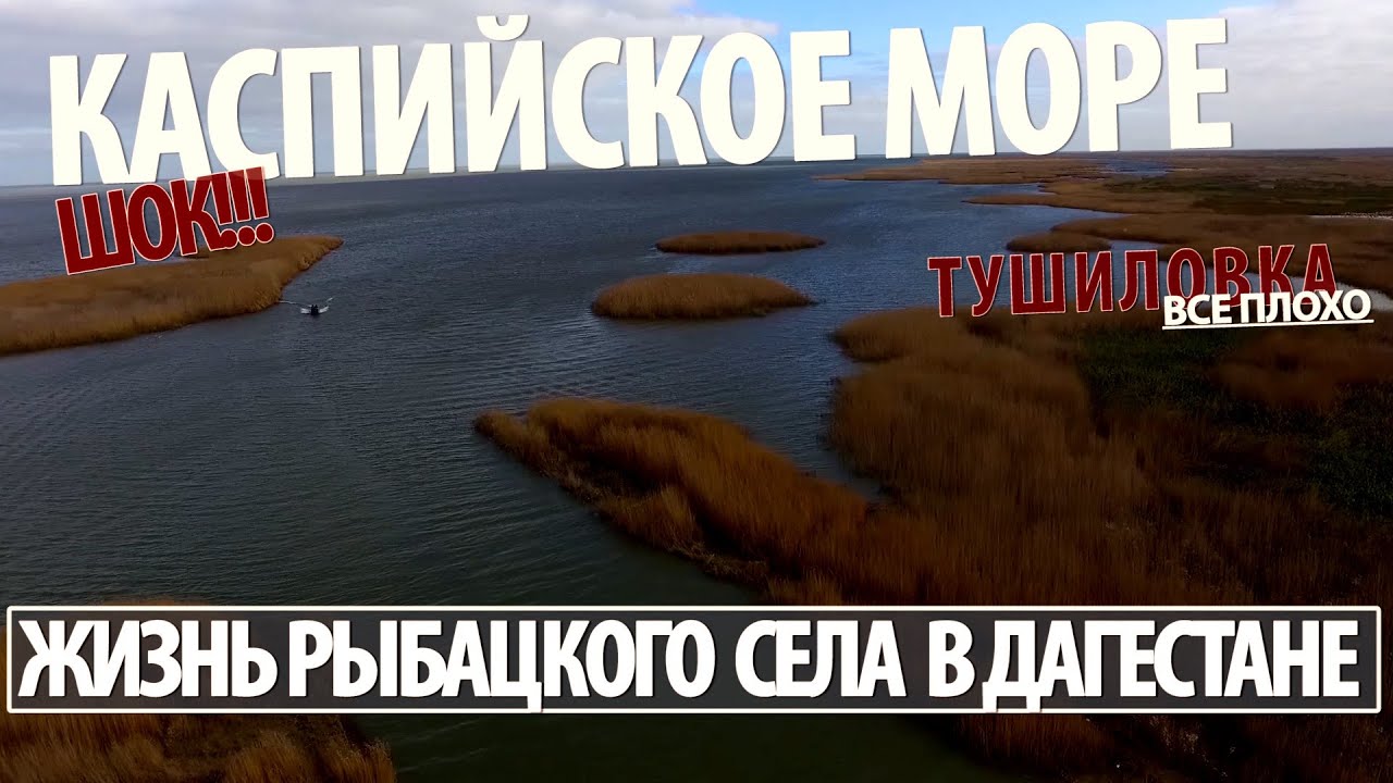 ШОК!  Вся правда! Жизнь приморского села Дагестана. Кизляр, село Тушиловка.