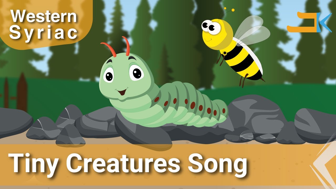 Tiny Creatures Song | Brayo Z'oureh | Kids Song | Western Syriac (Surayt) | Assyrian Aramaic Suryoyo