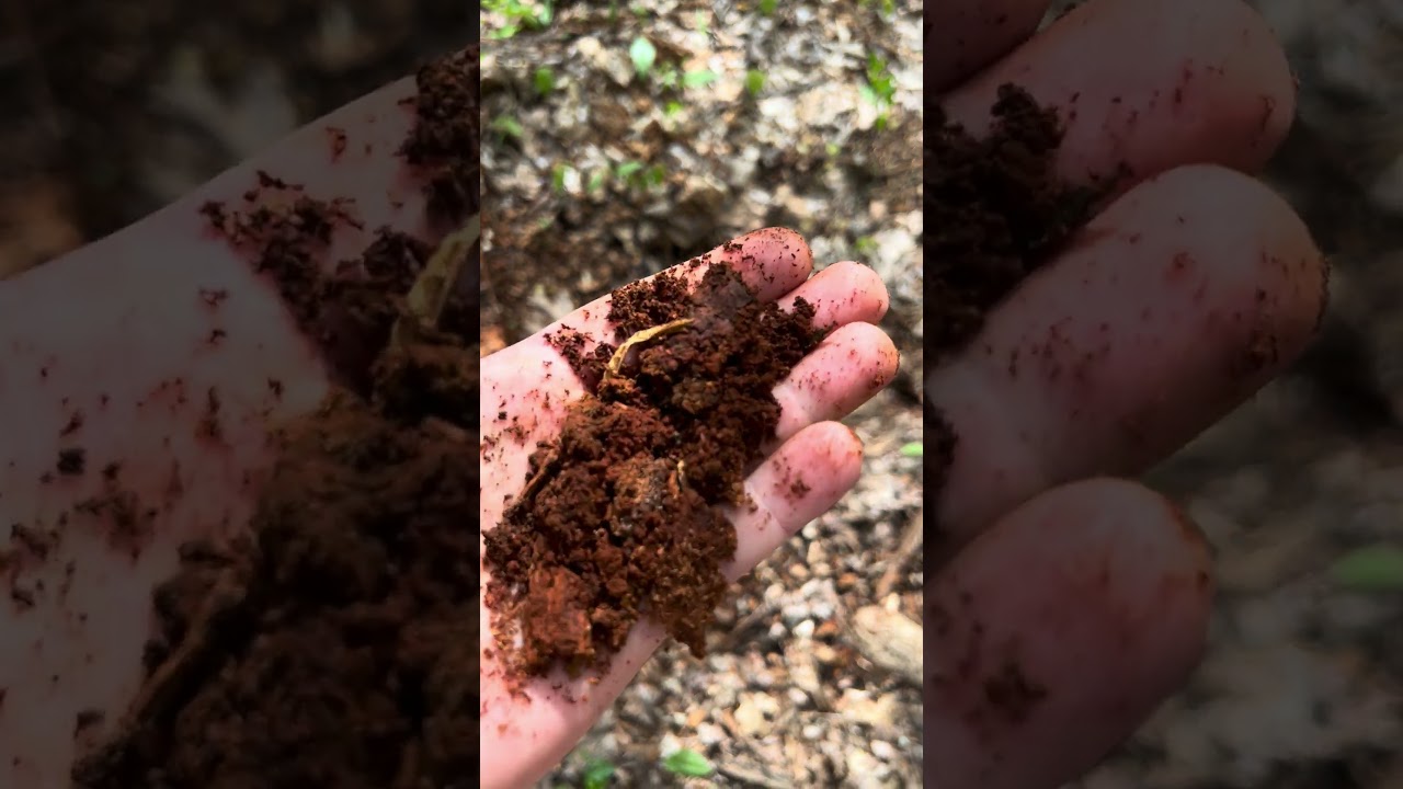 When was the last time you smelled the rich, deep, earthy aroma of nature #smellearth