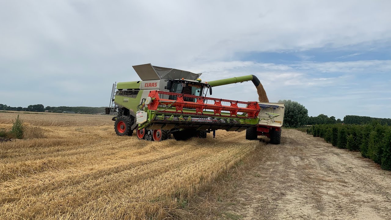 Laatste tarwe oogst 2022 met de claas lexion 6900 en John deere t550i van loonbedrijf Peter de Smet