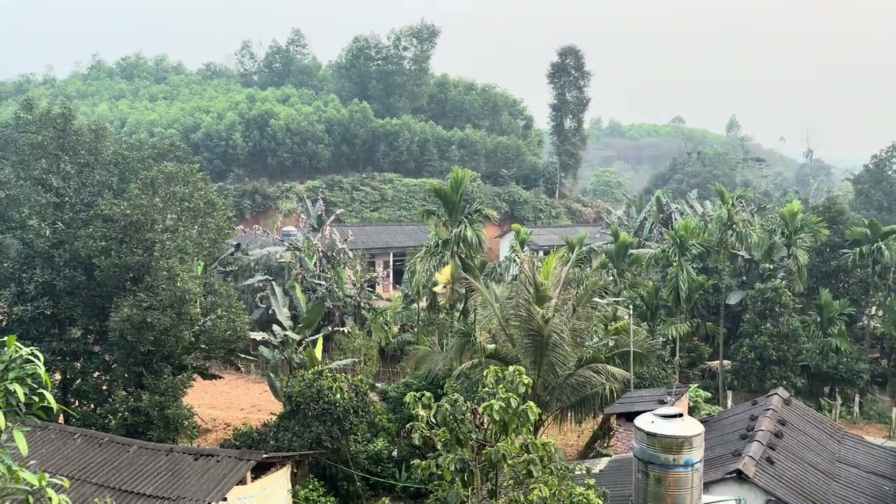 Nhà vườn phương năm