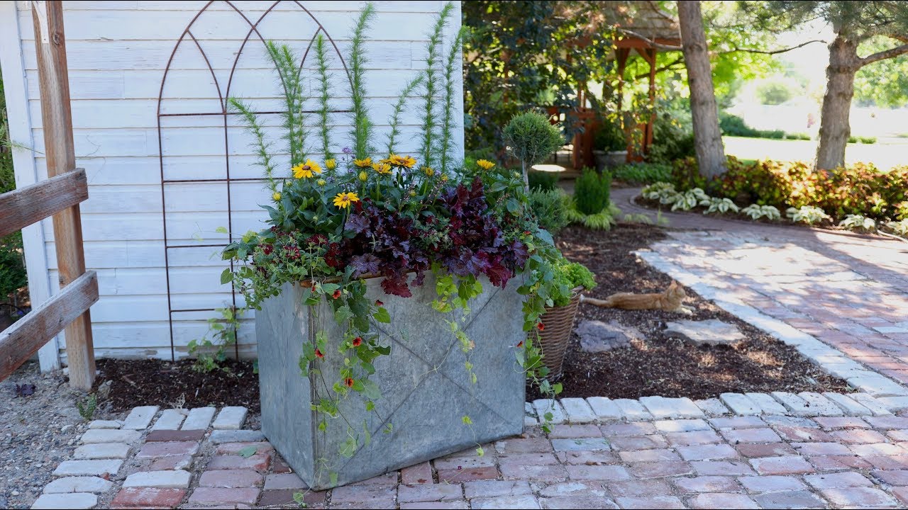 A Container that Will Last Through Fall 🌿🍂// Garden Answer