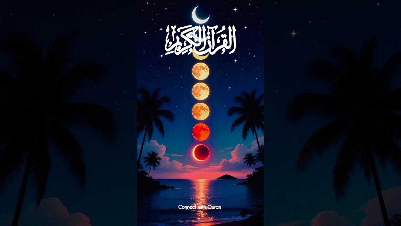 Beautiful Quran Translation #Allah #quran #islam #peace #connectwithquran #love #motivation #shorts
