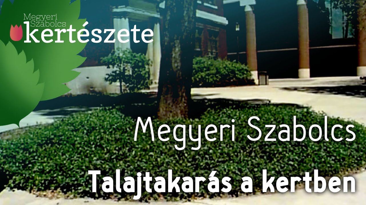 Talajtakarás a kertben