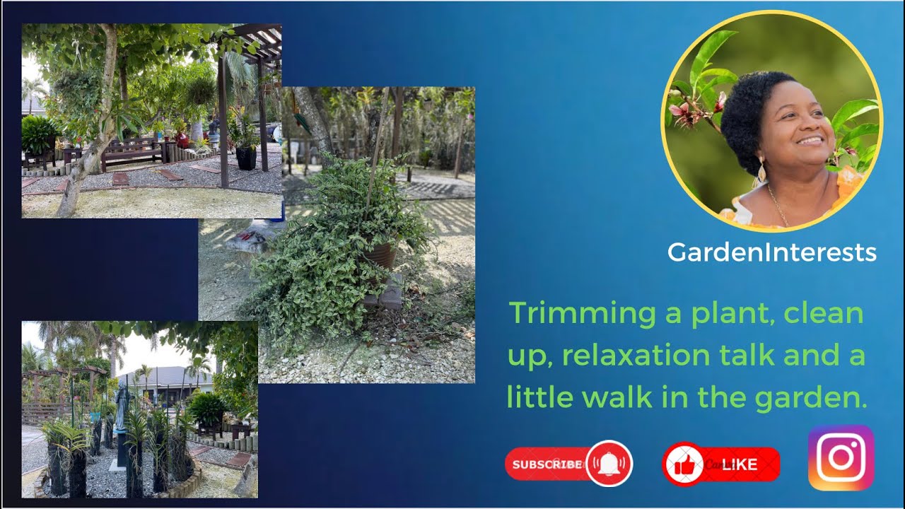 Trimming a plant, clean up, relaxation talk and a little walk in the garden.