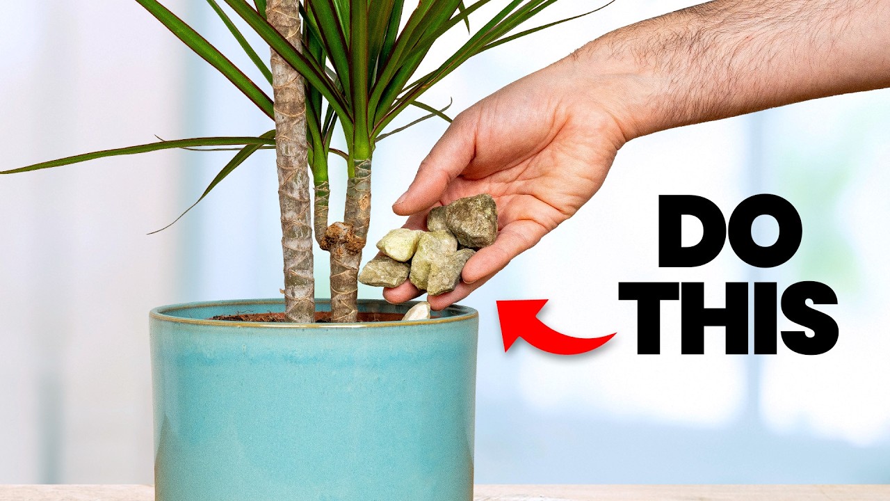 12 Plant Tasks You MUST Do In March