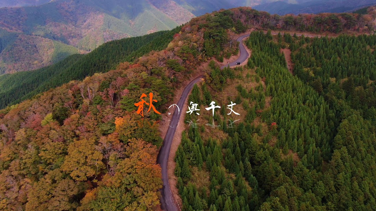 高野山紅葉 ドローンで見る秋の奥千丈!