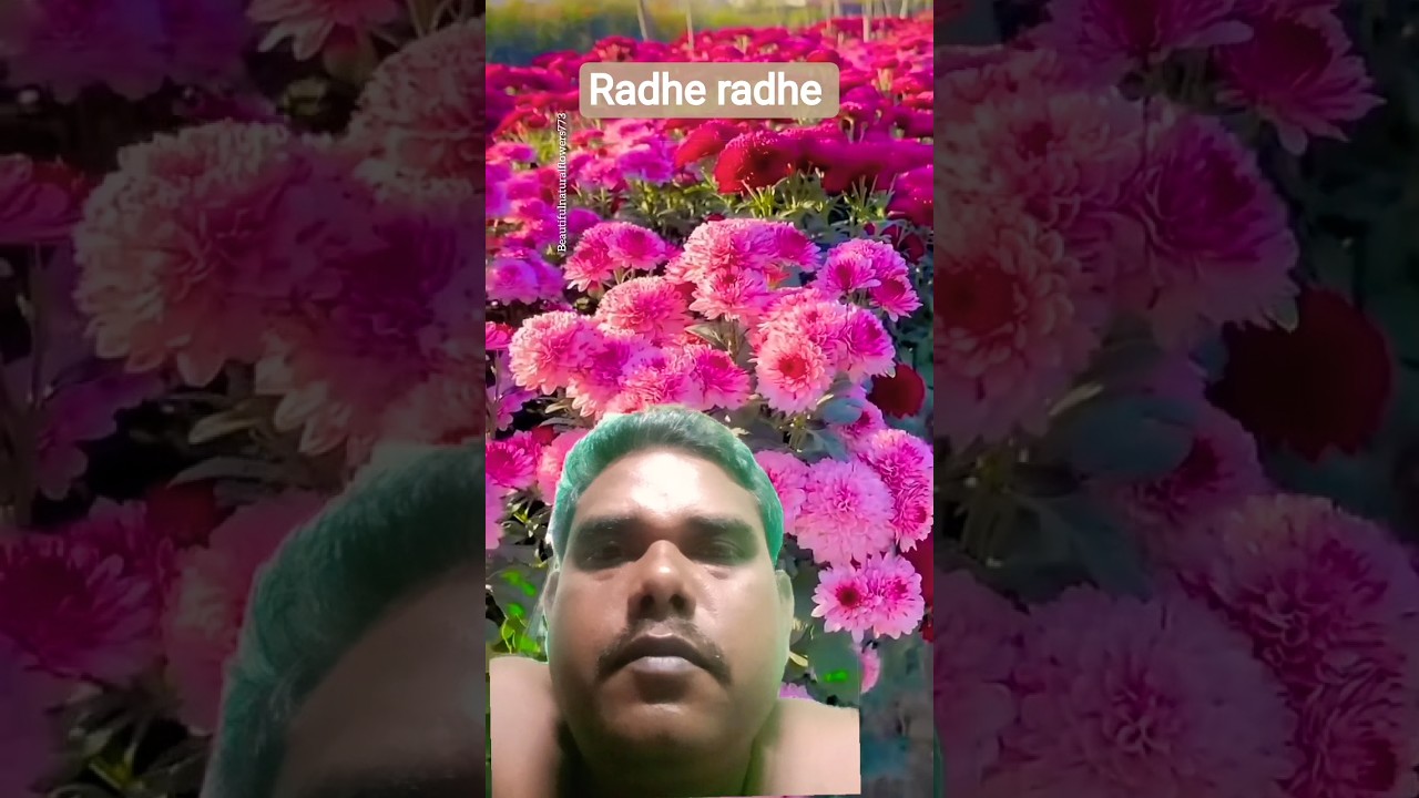 I saw a beautiful flower garden #shots #youtubeshorts