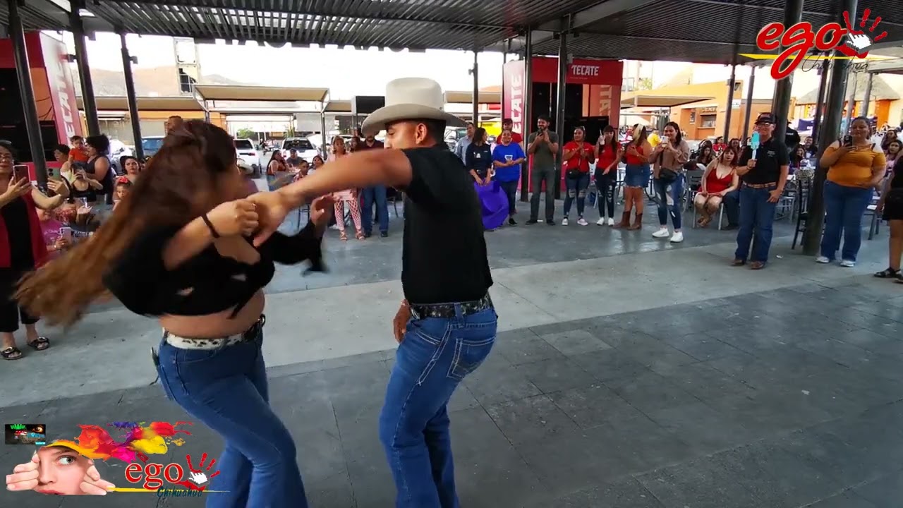 chihuahua y sus bailadores por un terreno