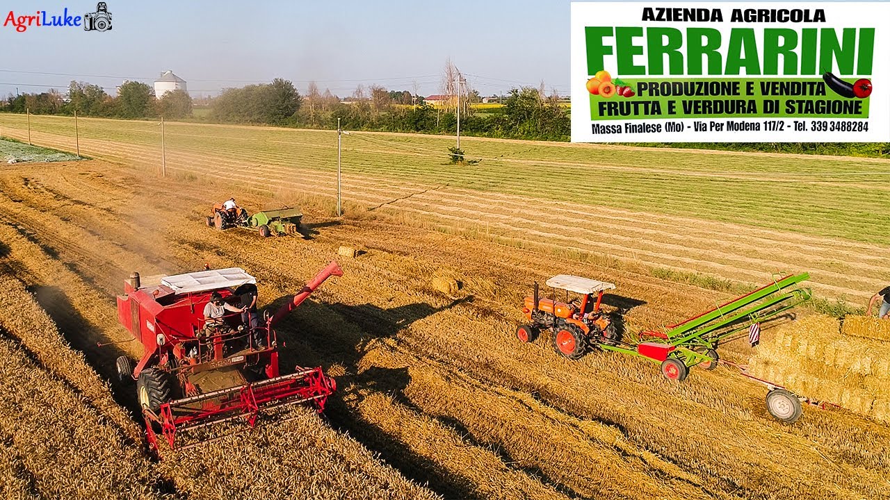 Rievocazione Trebbiatura  Raccolta Paglia Aratura | Laverda M120 | Gallignani | Fiat
